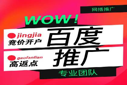 竞价广告的深度解析：以一知名品牌为例